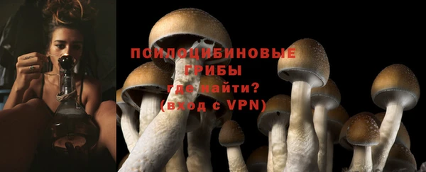 спиды Нея