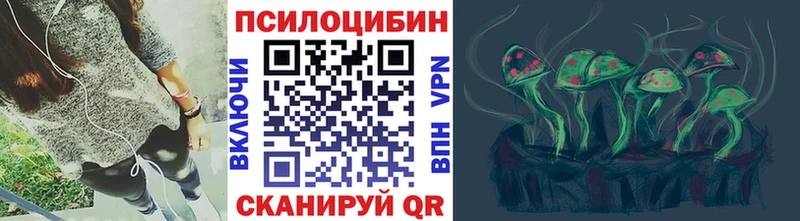 Псилоцибиновые грибы мицелий  Купить  Невельск 